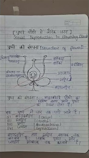 For class 12th up board Notes All subject #trendingshorts #class12 #boardexam2026