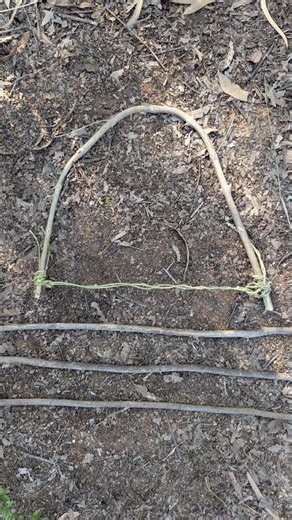 Primitive Technology: Bow and Arrow in the Wilderness #camping #survival #outdoors #lifehacks