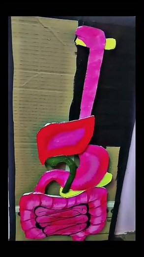 Human Digestive System Model for School Project | Easy & Creative ✅✨