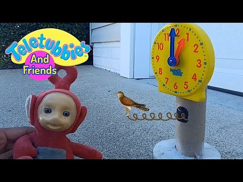 Teletubbies and Friends Episode: Clocks