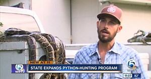 Python elimination program growing in Florida