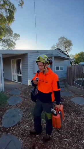 From walk-through to clean-up — every job starts with a good game plan. 👷‍♂️ #RutherfordTrees #TreeCare #ArboristLife #TreeRemoval #Deadwooding #TreeServices #TreeMaintenance #ProfessionalArborist #TreeExperts | Rutherford Trees