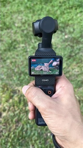 🤑 "Best Vlogging Camera for Beginners (Under $500!) #shorts