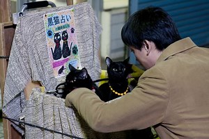 ドラマ くろねこルーシー - シーズン1 - 12話 (ドラマ) | 無料動画・見逃し配信を見るなら | ABEMA