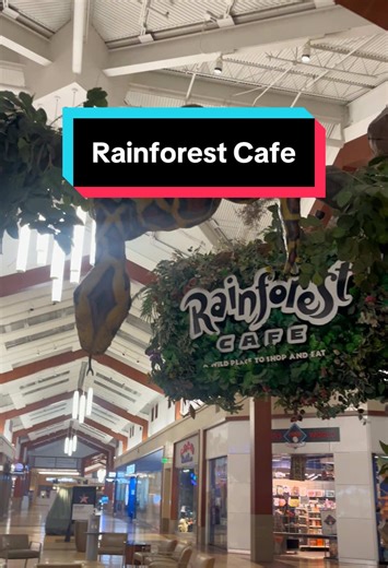 Didn’t know there was still a location! It was such a throwback to childhood 🥹 #rainforestcafe #chicago