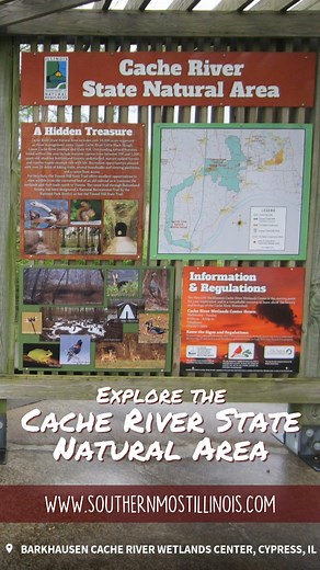 Discover the wonders of the Cache River State Natural Area! 🌿 Immerse yourself in the beauty of ancient cypress swamps, serene wetlands, and lush forests. Whether you're hiking, bird-watching, or paddling through tranquil waters, this natural haven offers unforgettable experiences for all nature lovers. | Southernmost Illinois Tourism Bureau