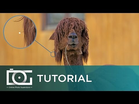 Fix Stuck Pixels | Stuck / Hot Pixel Fix | Canon How-To Video