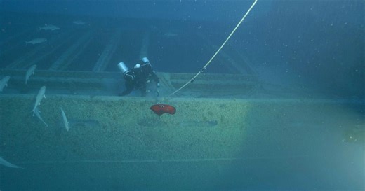 Triangle des Bermudes : les mystères engloutis - Saison 2 - Épisode 1 : Curse of the Carrier