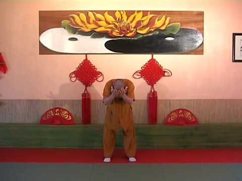 Découvrez le Qi Gong de la Colonne Vertébrale (cours complet)