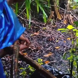 solo camping heavy rain made the house rain from start to finish shellfish hunting | متنزه مدينة الضباب