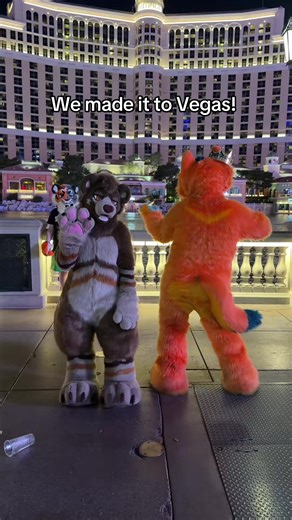 las vegas furry convention! #furry #fursuit #vegas #lvfc @SumDingoFL | fursuit