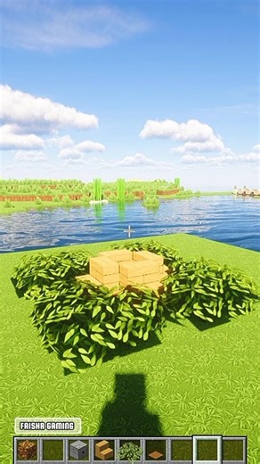 Elytra Launcher Tutorial! #shorts #minecraft