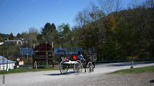 An Amish woman riding in a carriage arrives at an intersection in the road