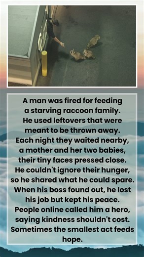 Watermelon Sugar on Reels