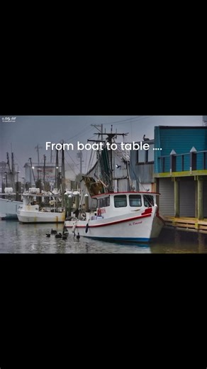 4.2K views · 166 reactions | When folks say “from the boat to the...