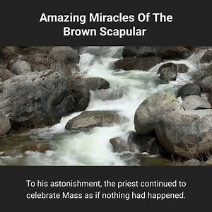2.3K views · 52 reactions | Amazing Miracles of the Brown Scapular | Proudly Catholic | Facebook
