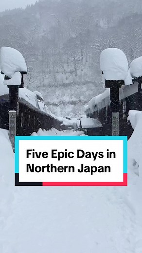 Exploring Northern Japan with JR East Pass: Five-Day Itinerary