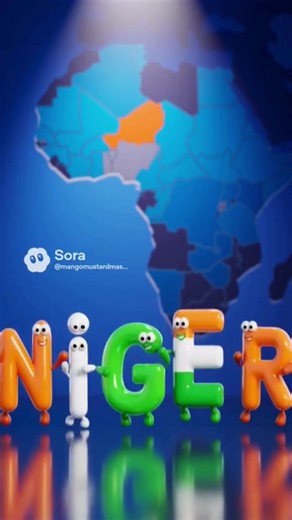 Learn about Niger 🇳🇪 #education #geography #niger #fyp #funny
