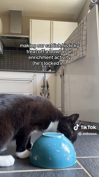 Enhance Your Cat's Playtime with Licky Treats