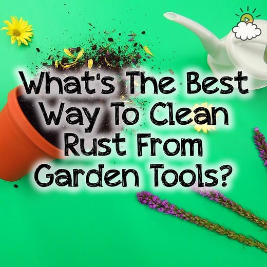 884K views · 167 reactions | Blast off that rust and get ready for planting! ☀️ | LittleThings: DIY | Facebook