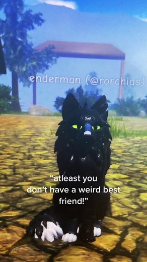 Warrior Cats Roblox Funny Memes and Edits Compilation