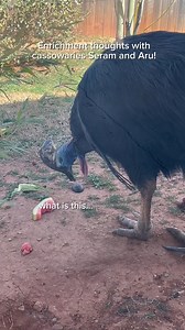 23K views · 355 reactions | Spring Break is in full swing!  Don't...