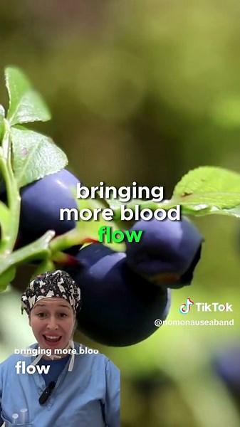 Wondering if bilberry is good for your eyes? Yes, bilberry is a powerful antioxidant that can improve vision and protect against eye-related conditions. Try NoMo Nausea essential oil bracelet for better eye health and relief from headaches! Get yours today and see the difference. #Bilberry #EyeHealth #NoMoBands