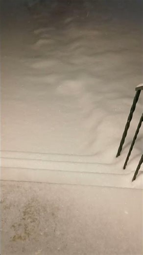 In the Night time snow is shinning like a star! 🌟 #canada #canadalife #snow #viral