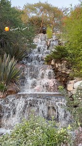 Hamra Turkey - حمراء التركية on Reels