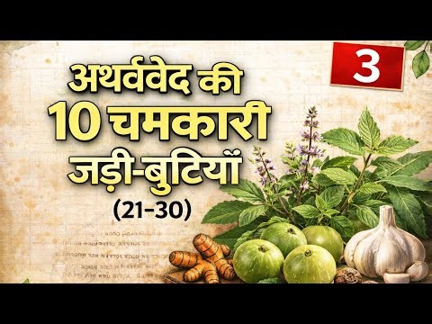 अथर्ववेद की 10 शक्तिशाली जड़ी-बूटियाँ (भाग 3): 21 से 30 तक के औषधीय गुण और उपयोग | Ayurveda Herbs