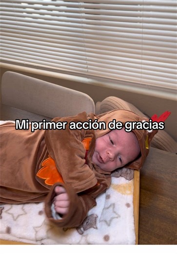 Feliz Día de Acción de Gracias a Mis Tías