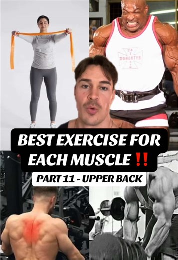 The Best Upper Back Exercise for Growth