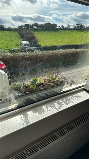 Ever seen windows THIS clean? 👀✨