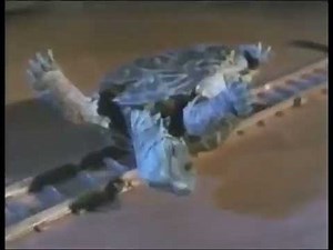 Nickelodeon You're on Nickelodeon, Charlie Brown WBRB and BTTS Bumpers (1998)