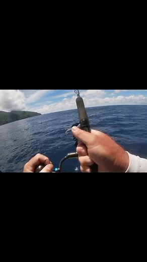 TAHITI /Trip pêche au jig attaque en direct #pêche #tahiti #pêchetahiti #tahitianlifestyle #tahitianlife #jigging #attaqueendirect #fishing #frenchpolynesia