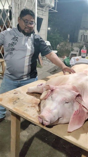 marrano de 107kg asado primera parte