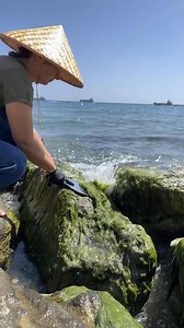 77K views · 212 reactions | La natura ha contribuito a creare questa spazzola ed è sorprendentemente utile | 5 Minuti Creativi | Facebook