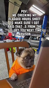 2.9K views · 16 reactions | No Trust..  #honda #technician #pug #meme #illgetyounexttime #flatrate | TE Videos | Facebook