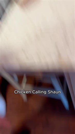 Cute and Funny Baby Chicks Videos to Brighten Your Day