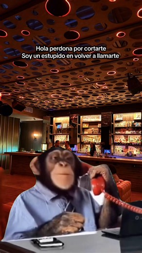 @sammer @Came Beats - llamarte (UNRELEASED) #sammer #llamarte #preview #nuevamusica #reggaetontiktok