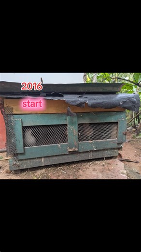 Loft Updating Trends for 2026: What to Expect