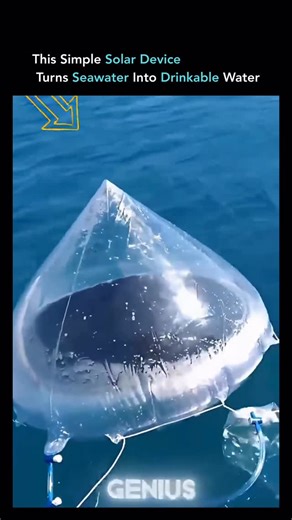 𝗧𝗲𝗰𝗵𝗖𝗵𝗿𝗼𝗻𝗶𝗰𝗹𝗲𝗔𝗜 on Instagram: "This solar still uses nothing but sunlight and smart physics to convert seawater into clean, drinkable water. The process is simple but powerful. Sunlight heats the salty water, causing it to evaporate. Salt and impurities are left behind while the vapor rises, cools, and condenses into fresh water on a clean surface. Gravity then collects the purified water for drinking. No electricity. No filters. No moving parts. Just heat, evaporation, and conden