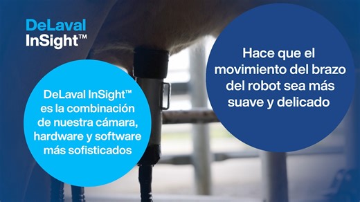 1.1K views · 17 reactions | El lanzamiento de un nuevo robot de...