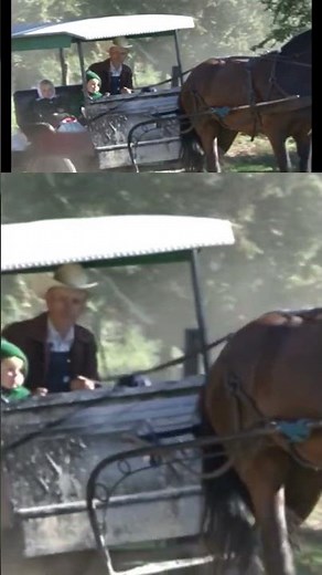 La vida de la Comunidad Menonita en La Pampa Argentina #historia #documental #menonitas #costumbres