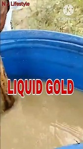 🌶️LIQUID GOLD🌶️ || CHILLI NATURAL FARMING|| ద్రవ బంగారం...‪@JAGANBABUMULLAPATI-x6q‬