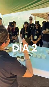 Día 2. Nuestros Reyes llegaron a donde todo comienza: los cafetales en Pluma Hidalgo, Oaxaca ☕🌱 Aquí nace el café que llega a tu taza. #ReyesdeCAFFENIO | CAFFENIO