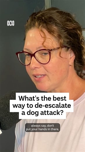 If you encounter a dog attack, what is the safest way to stop it? Animal behaviourist Sam Morris spoke with Tasmania Afternoons presenter Joel Rheinberger about encountering this scary scenario, and how to avoid a tragic outcome. Listen live to 936 ABC Radio Hobart on the ABC Listen app. | ABC Hobart