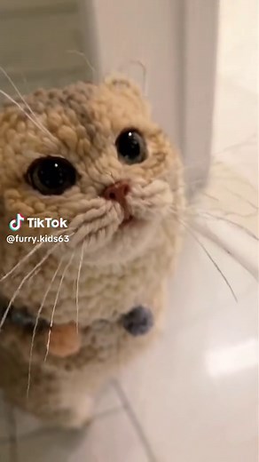 猫のいる暮らしとかわいいペット動画集