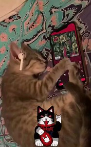 115K views · 2.3K reactions | Clawyer - Angel Of Cat  | Heavy Metal Hard Rock | Facebook