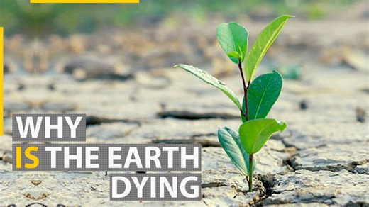 Why healthy soil matters: How our future depends on saving the ground beneath us